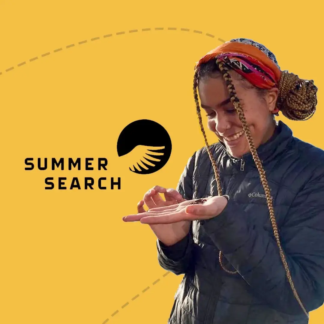 Summer Search: Unified a National Nonprofit Brand and Digital Marketing Presence